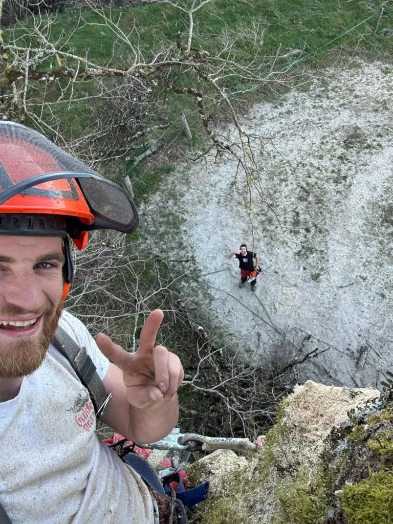 Élagueur souriant en harnais en haut d’un arbre chez elagage-abattage-ferrie-tarn dans le Tarn