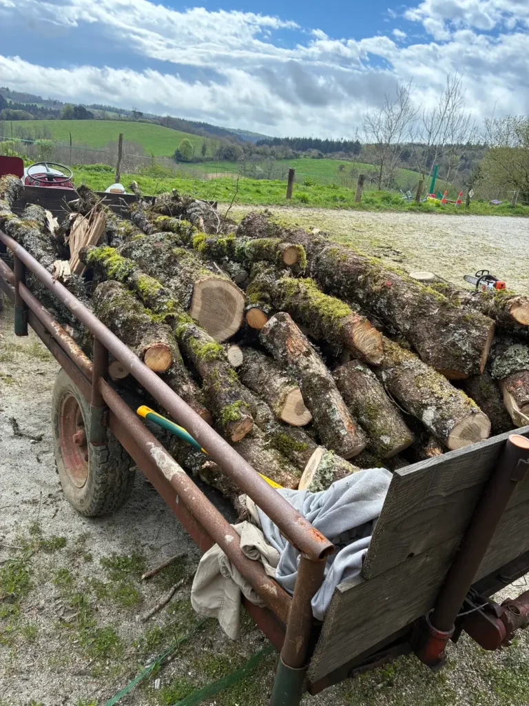Remorque de bûches moussues en campagne avec hache, travail forestier elagage-abattage-ferrie-tarn dans le Tarn